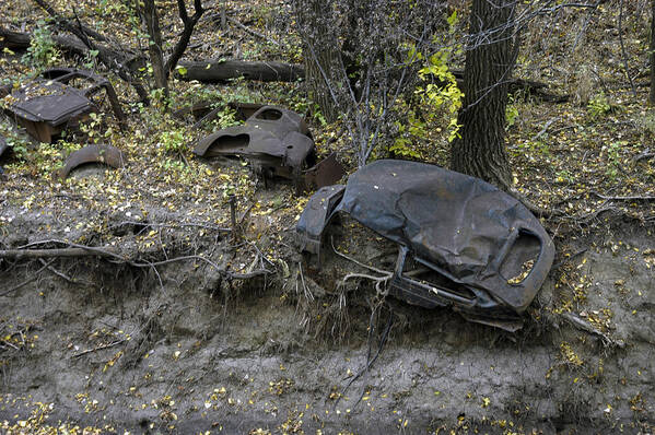 Wrecks Art Print featuring the photograph Throw Away - Cars by DArcy Evans