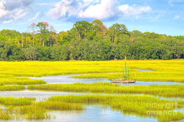 Marsh Art Print featuring the photograph Tidal Castaway by Scott Hansen