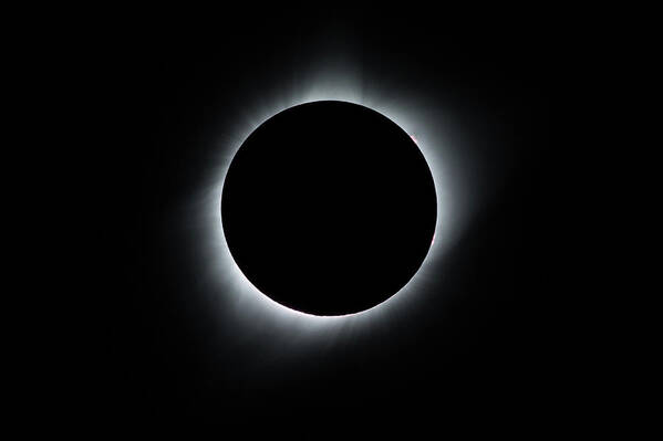 Eclipse Art Print featuring the photograph Total Solar Eclipse by Tony Hake