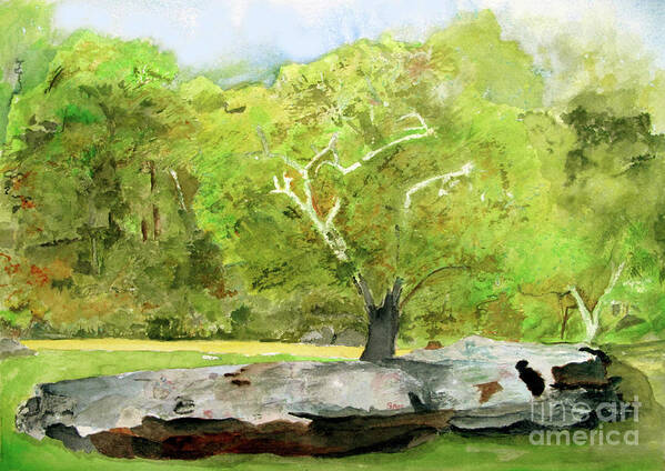 Rock Art Print featuring the painting Tracy's Rock by Sandy McIntire