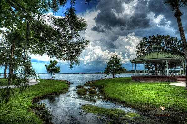 Green Cove Springs Art Print featuring the photograph Chaotic Tranquility by Joseph Desiderio