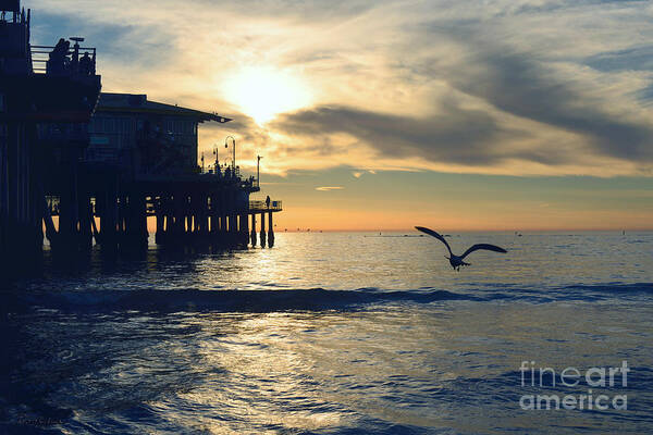 Seagull Art Print featuring the photograph Seagull Pier Sunrise Seascape C1 by Ricardos Creations