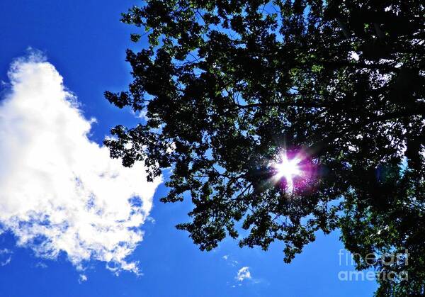 Tree Art Print featuring the photograph Tree Cloud and Sun by Sarah Loft