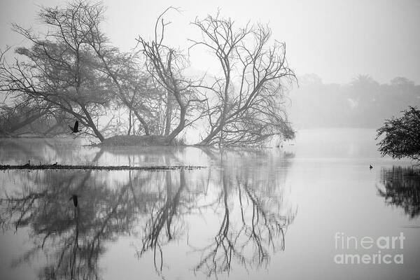 Tree Art Print featuring the photograph Tree in a lake by Pravine Chester