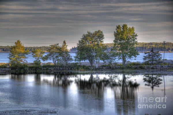 Maine Art Print featuring the photograph All In a Row by Crystal Nederman