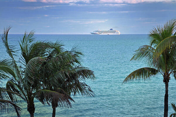 Cruise Art Print featuring the photograph Tropical Cruise by Frank Mari