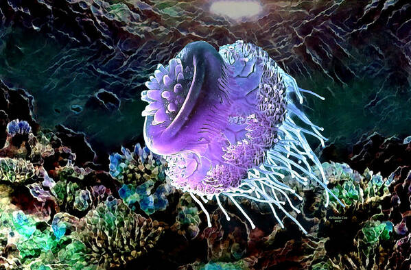 Digital Art Art Print featuring the digital art Tropical Jellyfish by Artful Oasis