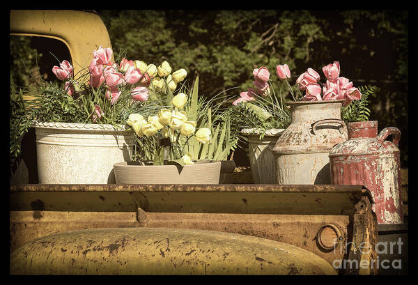 Truck Tulips Art Print featuring the photograph Truck Tulips by Imagery by Charly
