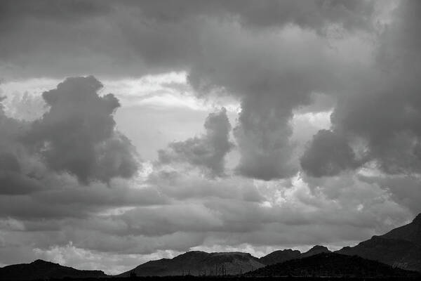 Tucson Art Print featuring the photograph Tucson I BW by David Gordon