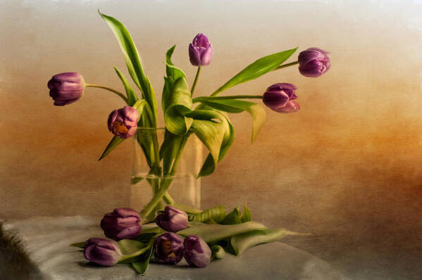 Photograph Art Print featuring the photograph Tulips on a Table by Maggie Terlecki