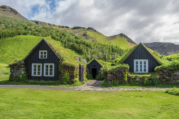 Iceland Art Print featuring the photograph Turf Roof Houses and Shed, Skogar, Iceland by Venetia Featherstone-Witty