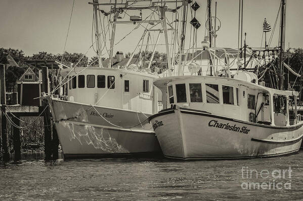 Charleston Star Art Print featuring the photograph Two Deep by Dale Powell