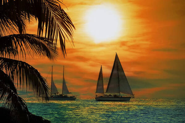 Sail Art Print featuring the photograph Two Ships Passing in the Night by Bill Cannon