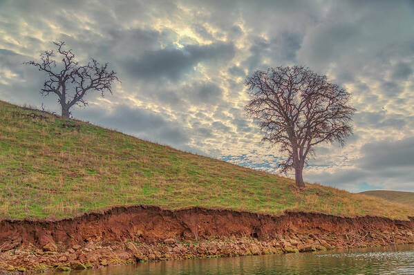 Landscape Art Print featuring the photograph Two Trees and Clouds at Los Vaqueros by Marc Crumpler