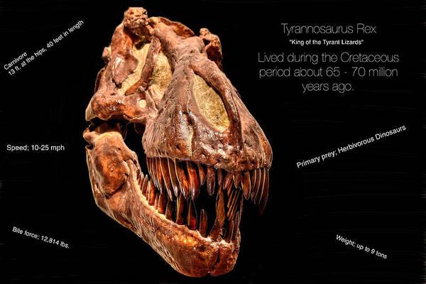Home Art Print featuring the photograph Tyrannosaurus Rex by Richard Gehlbach