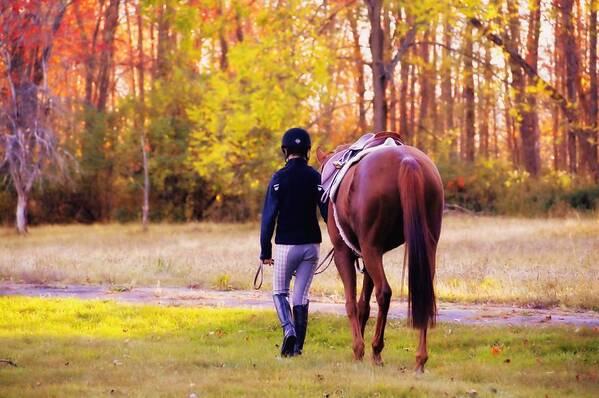 Companion Art Print featuring the photograph Ultimate Friendship by Dressage Design