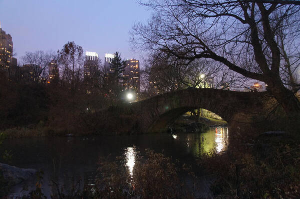 Central Park Nyc Art Print featuring the photograph Under the bridge by Elena Perelman