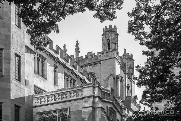 Aau Art Print featuring the photograph University of Chicago Collegiate Architecture by University Icons