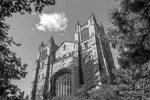 Ann Arbor Art Print featuring the photograph University of Michigan Law Library by University Icons