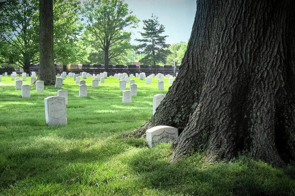 Cemetery Art Print featuring the photograph Unkown and Tree at Arlington Cemetery by Mary Lee Dereske