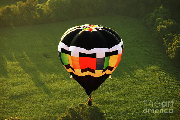 Balloon Art Print featuring the photograph Up Up and Away by Lori Tambakis