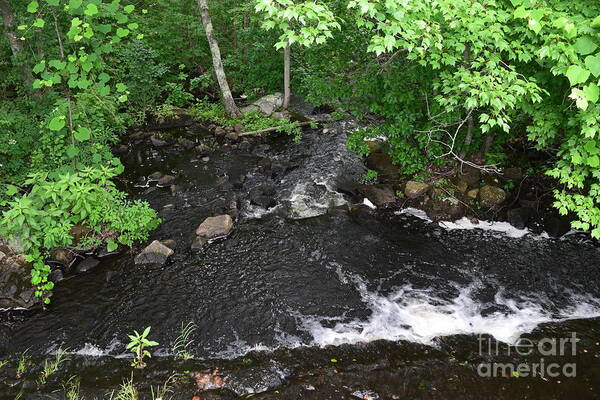 Upper Roaring Brook Art Print featuring the photograph Upper Roaring Brook by Leslie M Browning