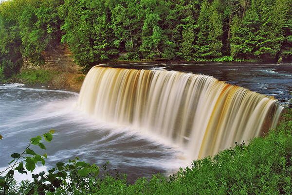 Tahquamenon Art Print featuring the photograph Upper Tahquamenon 6229 by Michael Peychich