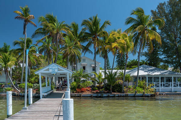 Waterscape Art Print featuring the photograph Useppa Island Dock by Ginger Stein