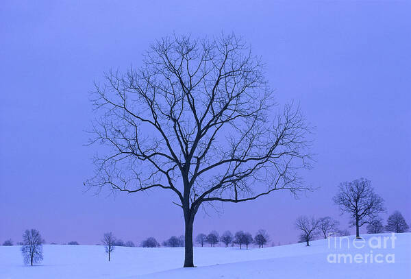 Valley Forge Art Print featuring the photograph Valley Forge Nat'l Historical Park, PA by Kevin Shields