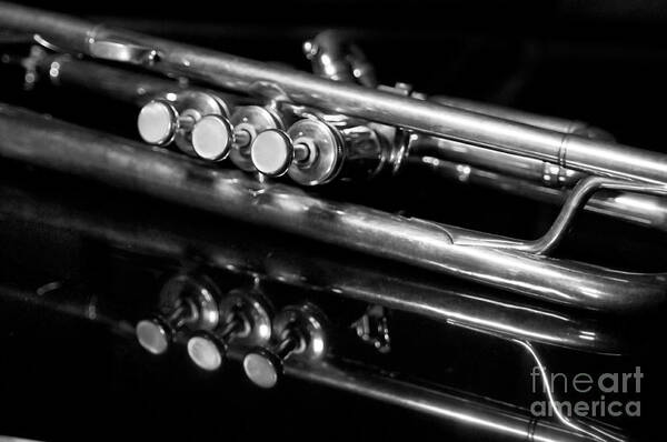 Music Art Print featuring the photograph Valves by Dan Holm