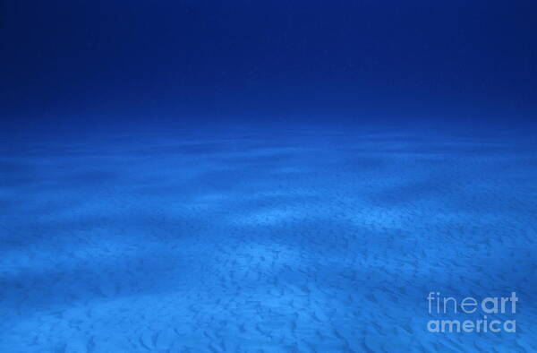Vast Sandy Ocean Floor And Blue Waters Art Print By Sami Sarkis