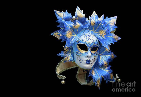 Black Art Print featuring the photograph Venetian mask on black by Patricia Hofmeester