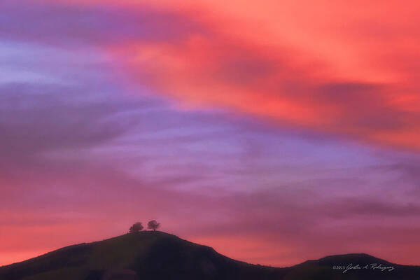 Two Trees Art Print featuring the photograph Ventura CA Two Trees at Sunset by John A Rodriguez