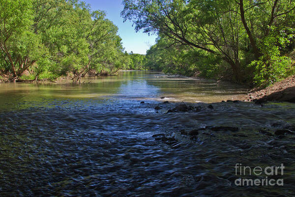 Rivers Art Print featuring the photograph Verde River by Kathy McClure