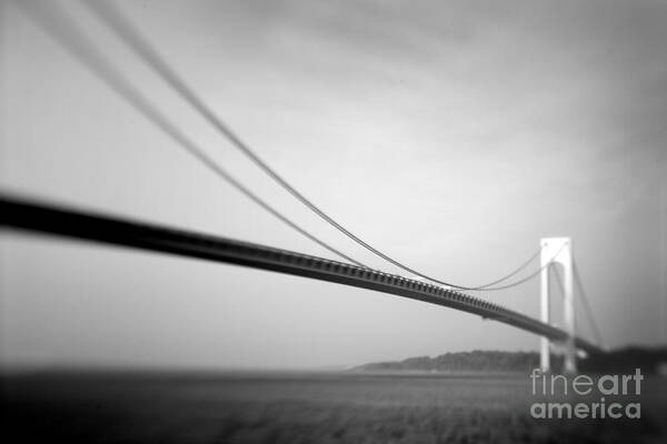 Black & White Art Print featuring the photograph Verrazano Bridge 2 by Tony Cordoza