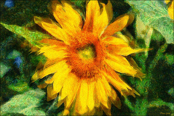 Sunflower Art Print featuring the photograph Very Wild Sunflower by Anna Louise