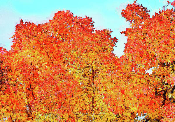 Trees Art Print featuring the digital art Vibrant Autumn Trees by Kae Cheatham