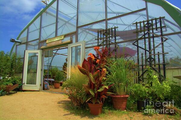 Greenhouse Art Print featuring the photograph Vibrant Greenhouse by Tammie Miller