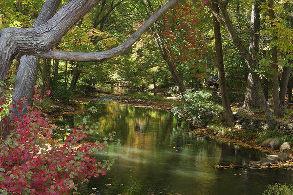 River Art Print featuring the photograph View of the Mill River by Margie Avellino