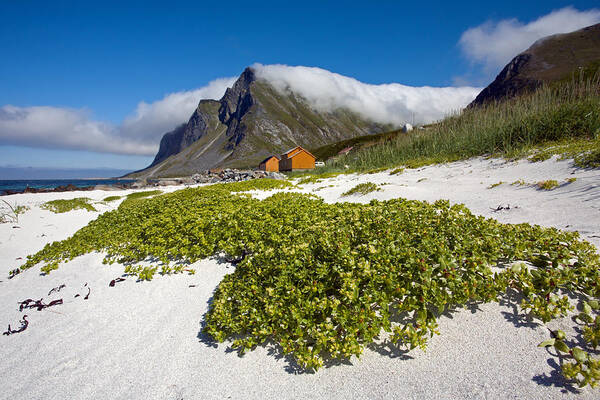 Flakstad Island Art Print featuring the photograph Vikten Beach with Green Grass, Mountains and Clouds by Aivar Mikko