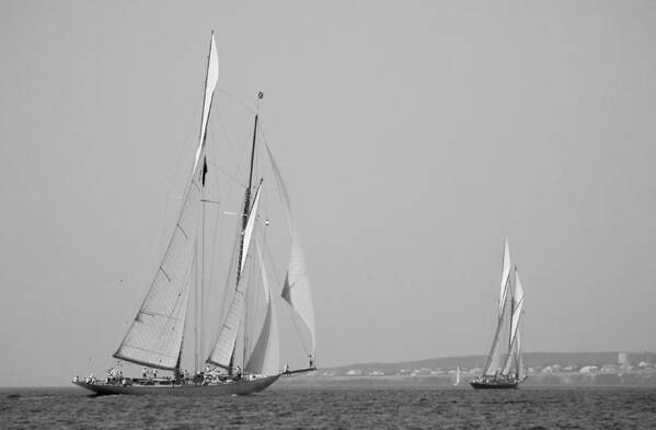 Sail Race Art Print featuring the photograph Vintage Sail Race In Black And White by Pedro Cardona Llambias