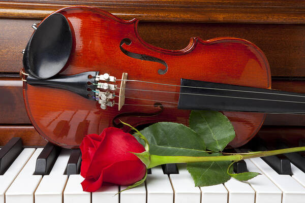 Violin Art Print featuring the photograph Violin with rose on piano by Garry Gay