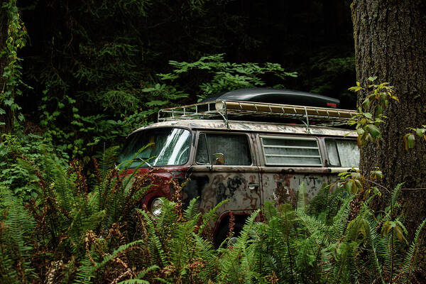 Beetle Art Print featuring the photograph VW Hides in the Woods by Richard Kimbrough