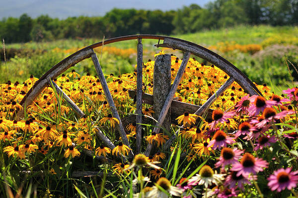 Wagon Wheel Art Print featuring the photograph Wagon Wheel Flowers by Luke Moore