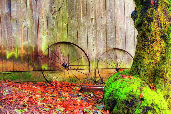 Autumn Art Print featuring the photograph Wagon Wheels and Autumn Leaves by Dee Browning