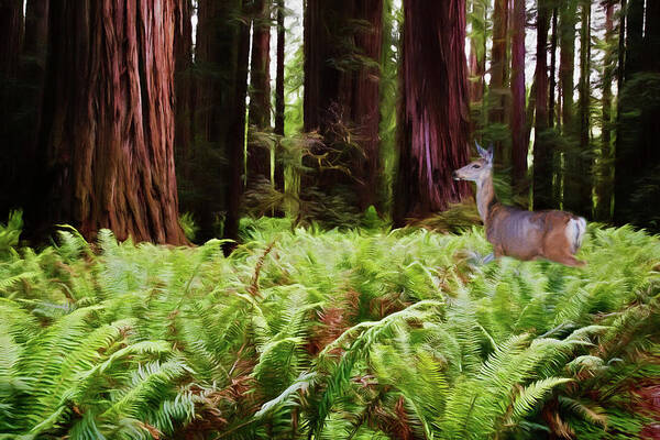 Jedediah Smith Redwoods State Park Art Print featuring the photograph Walk Among Giants by Lana Trussell