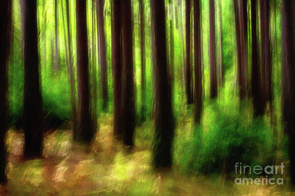 Landscapes Art Print featuring the photograph Walking In The Woods by Sal Ahmed
