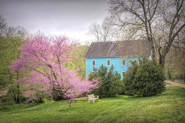 Walnford Art Print featuring the photograph Walnford In Spring by Kristia Adams