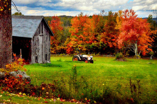 Farm Yard Art Print featuring the photograph Warner Farm by Tricia Marchlik