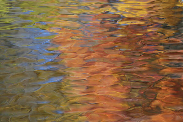 Water Art Print featuring the photograph Water Color Pallette by Doris Potter